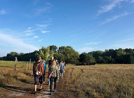 DLPT-Exkursion "Obstanbau und Agroforst in der Havellandschaft"