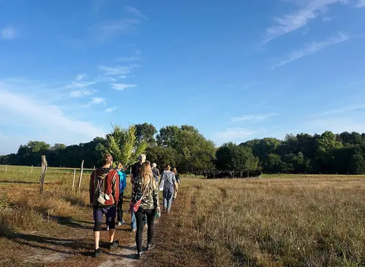 DLPT-Exkursion "Obstanbau und Agroforst in der Havellandschaft"